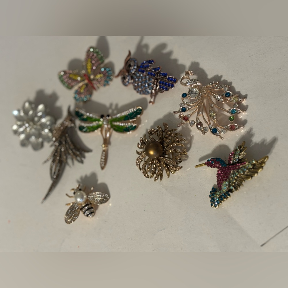 Colorful Insect and Floral Brooch set of 9 - peacock, flourish, bee, phoenix
